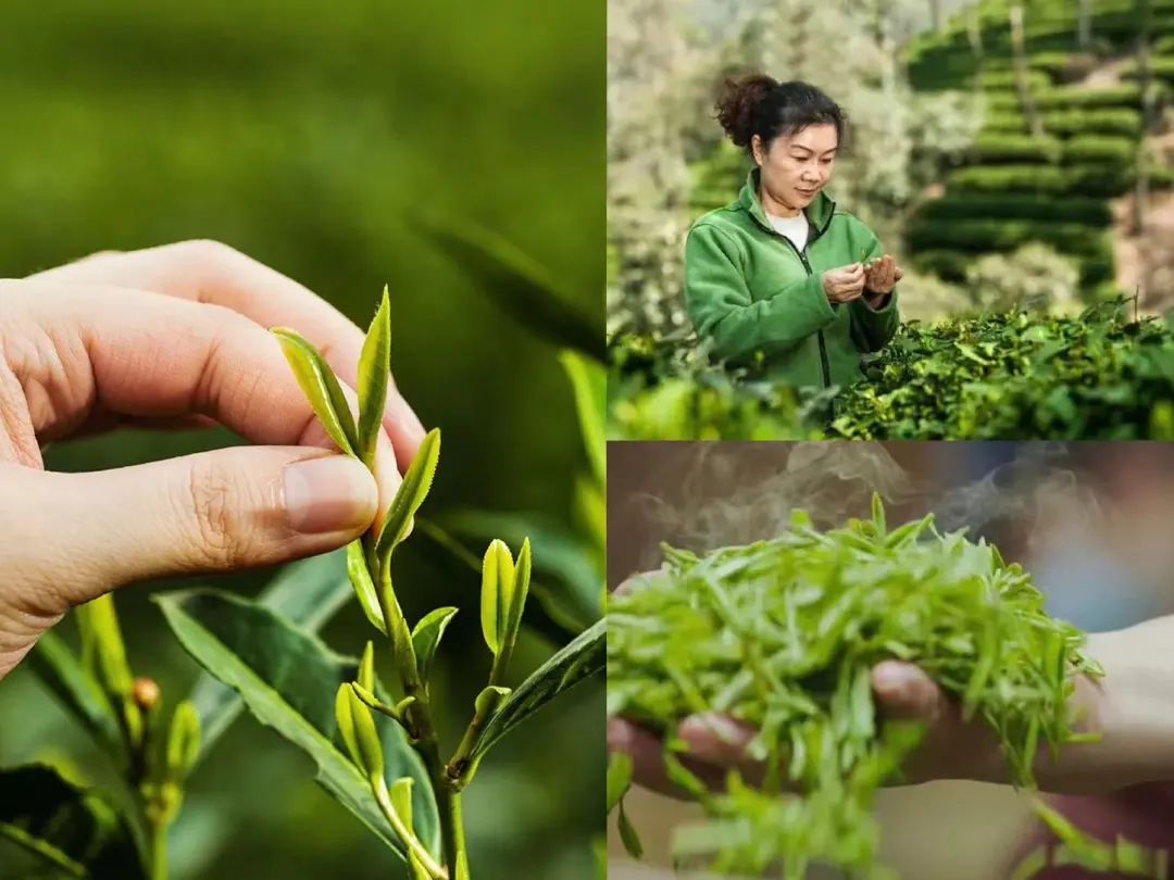 小罐茶的创意文案赏析-传播蛙